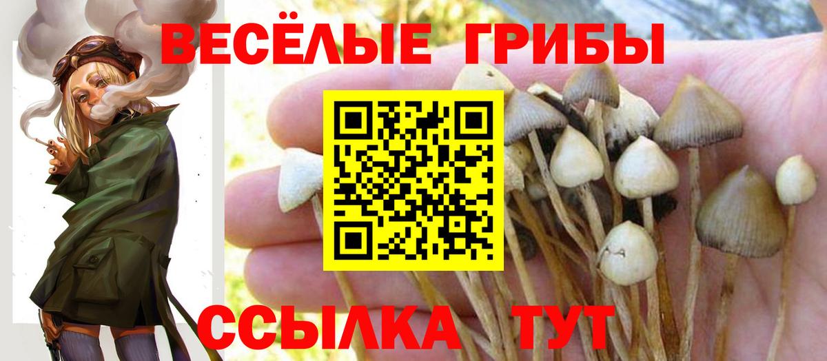 Псилоцибиновые грибы мухоморы Гуково